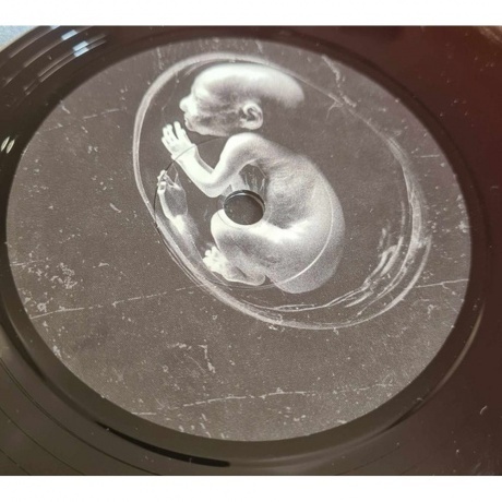 Till Lindemann - Meine Welt (V7) (4260639464079) виниловая пластинка - фото 6