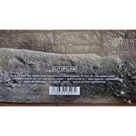 Till Lindemann - Meine Welt (V7) (4260639464079) виниловая пластинка - фото 7