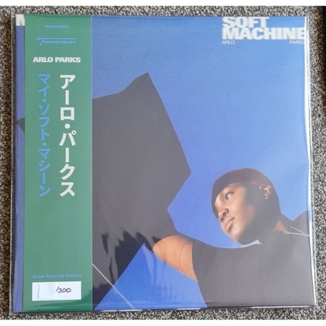 Arlo Parks - My Soft Machine (coloured) (5400863101985) виниловая пластинка - фото 11