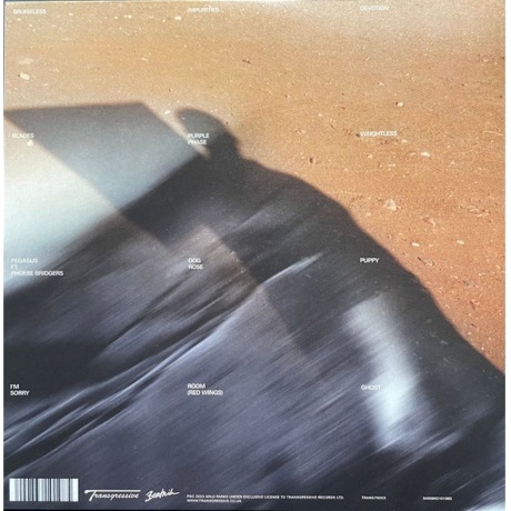 Arlo Parks - My Soft Machine (coloured) (5400863101985) виниловая пластинка - фото 4