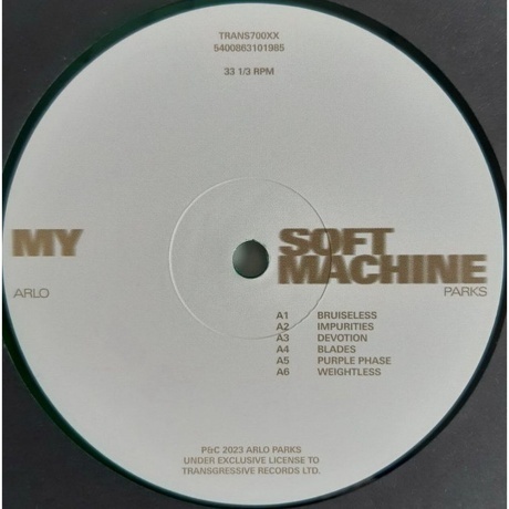 Arlo Parks - My Soft Machine (coloured) (5400863101985) виниловая пластинка - фото 5