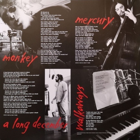 Counting Crows - Recovering The Satellites (0602557097603) виниловая пластинка - фото 8