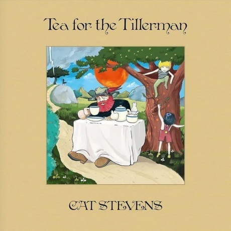 Cat Stevens - Tea For The Tillerman 0602435940885 виниловая пластинка 4726₽