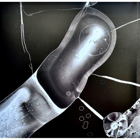 David Sylvian - Camphor II (coloured) (0602475268796) виниловая пластинка - фото 2