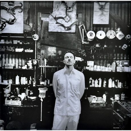 David Sylvian - Camphor II (coloured) (0602475268796) виниловая пластинка - фото 12