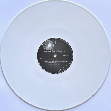 David Sylvian - Camphor II (coloured) (0602475268796) виниловая пластинка - фото 13