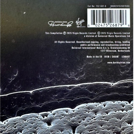 David Sylvian - Camphor II (coloured) (0602475268796) виниловая пластинка - фото 15