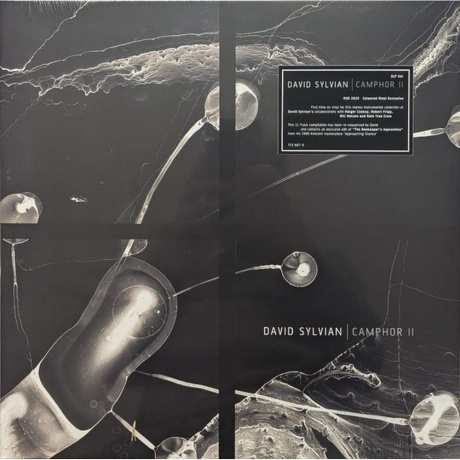 David Sylvian - Camphor II (coloured) (0602475268796) виниловая пластинка - фото 16