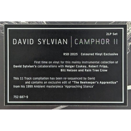 David Sylvian - Camphor II (coloured) (0602475268796) виниловая пластинка - фото 17