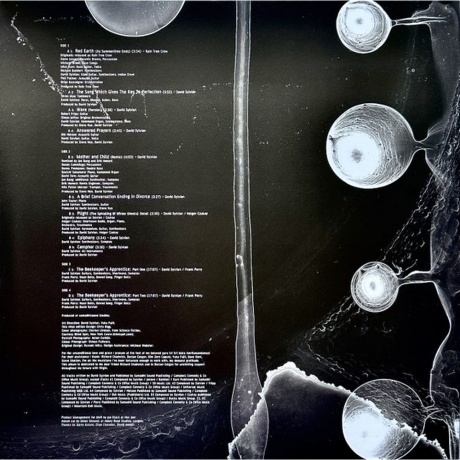 David Sylvian - Camphor II (coloured) (0602475268796) виниловая пластинка - фото 3