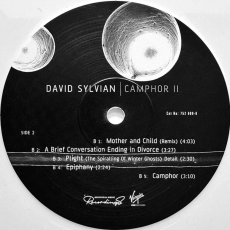 David Sylvian - Camphor II (coloured) (0602475268796) виниловая пластинка - фото 6
