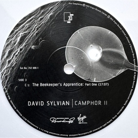 David Sylvian - Camphor II (coloured) (0602475268796) виниловая пластинка - фото 7