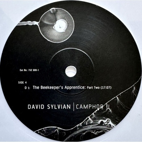 David Sylvian - Camphor II (coloured) (0602475268796) виниловая пластинка - фото 8