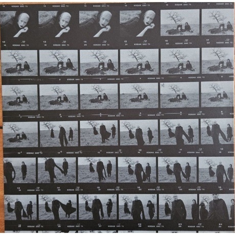 The Smashing Pumpkins - Adore (0602537899265) виниловая пластинка - фото 4