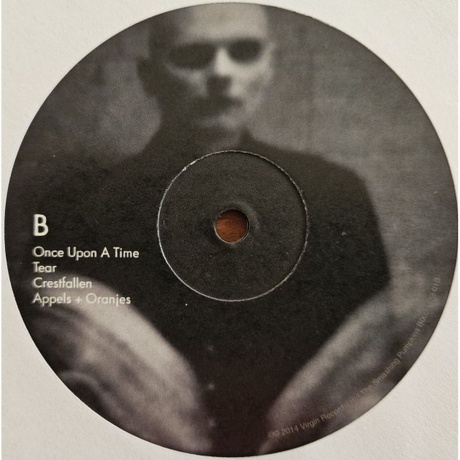 The Smashing Pumpkins - Adore (0602537899265) виниловая пластинка - фото 7