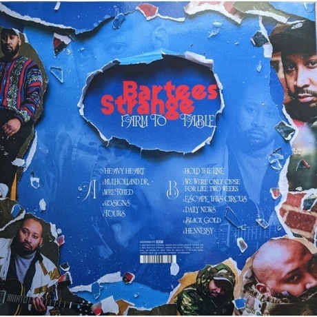 Bartees Strange - Farm To Table (coloured) (0191400048805) виниловая пластинка - фото 2