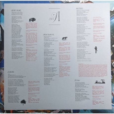 Bartees Strange - Farm To Table (coloured) (0191400048805) виниловая пластинка - фото 3