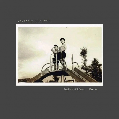 

Chihei Hatakeyama; Shun Ishiwaka - Magnificent Little Dudes (5060708611125) виниловая пластинка
