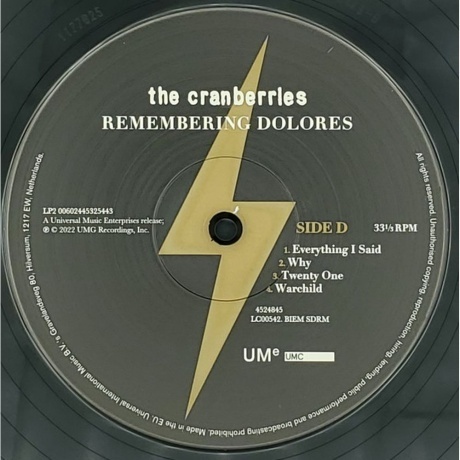 The Cranberries - Remembering Dolores (0602445248452) виниловая пластинка - фото 8