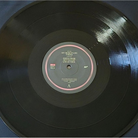 Crazy P - Any Signs Of Love (4062548090727) виниловая пластинка - фото 7