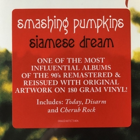 The Smashing Pumpkins - Siamese Dream (0602465173406) виниловая пластинка - фото 9