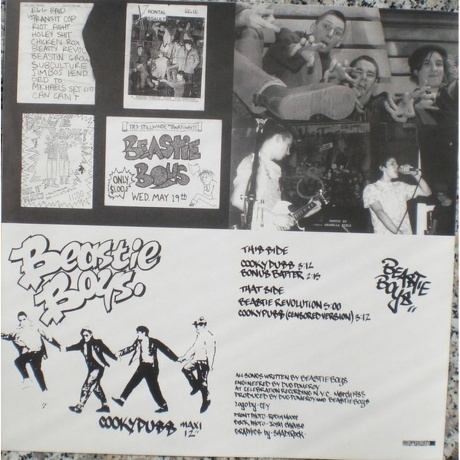 The Beastie Boys - Some Old Bullshit (0602507458256) виниловая пластинка - фото 11