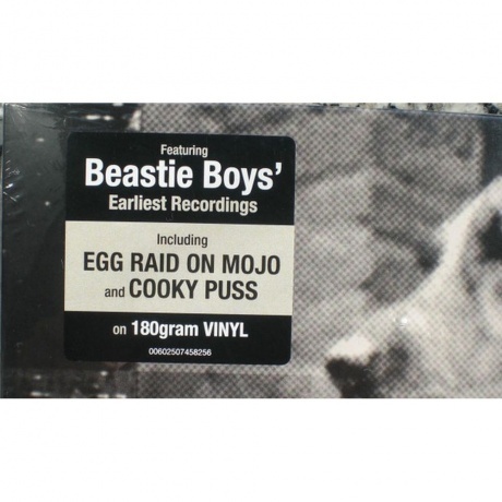 The Beastie Boys - Some Old Bullshit (0602507458256) виниловая пластинка - фото 3