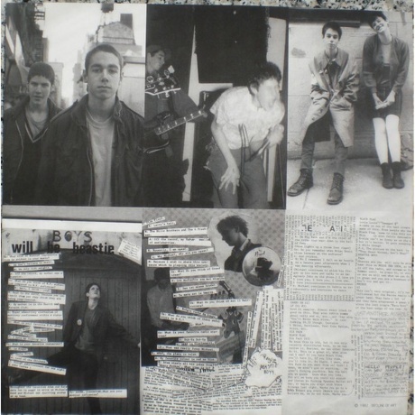 The Beastie Boys - Some Old Bullshit (0602507458256) виниловая пластинка - фото 8