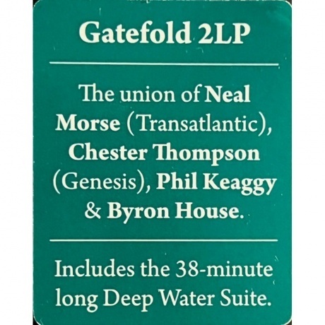 Cosmic Cathedral - Deep Water (0198028859318) виниловая пластинка - фото 9