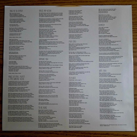 Hozier - Hozier (coloured) (0602465735765) виниловая пластинка - фото 4