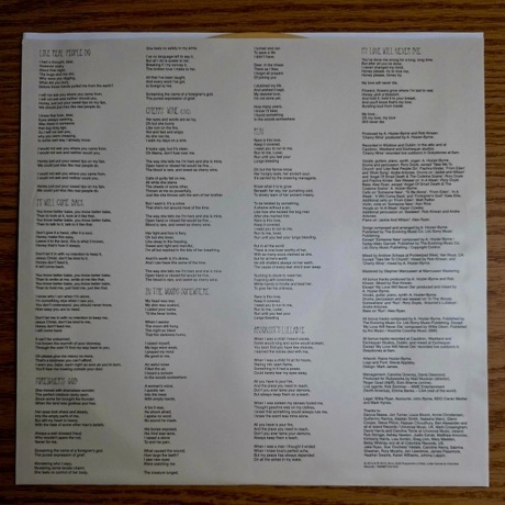 Hozier - Hozier (coloured) (0602465735765) виниловая пластинка - фото 8