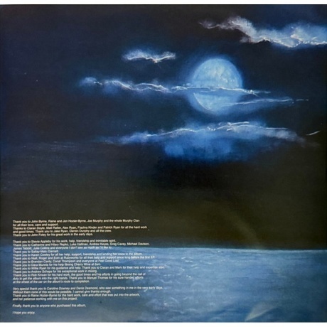 Hozier - Hozier (coloured) (0602465735765) виниловая пластинка - фото 9