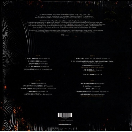 Agnes Obel - Late Night Tales (5060391091556) виниловая пластинка - фото 3
