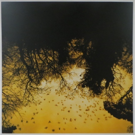 David Holmes - Late Night Tales (5060391090993) виниловая пластинка - фото 7