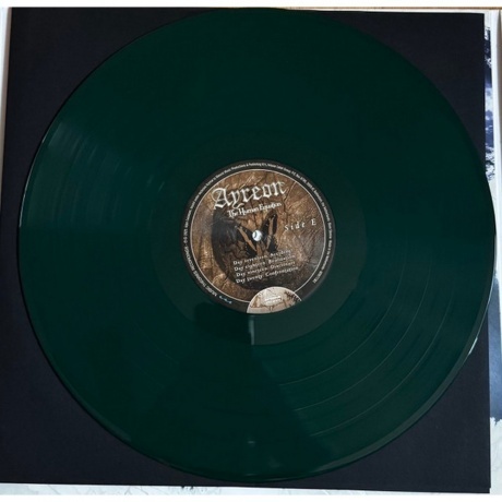 Ayreon - The Human Equation (coloured) (8712725749066) виниловая пластинка - фото 2