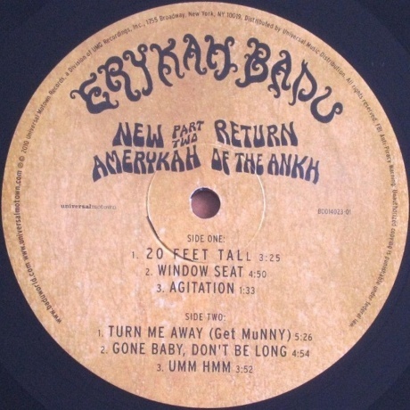 Erykah Badu - New Amerykah Part Two (0602527326788) виниловая пластинка - фото 9