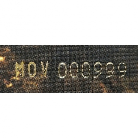 Opeth - Ghost Reveries (coloured) (8719262038912) виниловая пластинка - фото 19