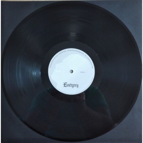 Evergrey - Theories Of Emptiness (0810155660345) виниловая пластинка - фото 4