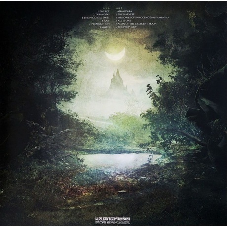 Eluveitie - Anv (coloured) (4065629637378) виниловая пластинка - фото 2