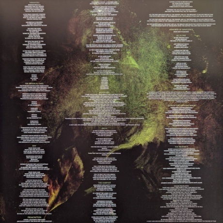 Eluveitie - Anv (coloured) (4065629637378) виниловая пластинка - фото 7