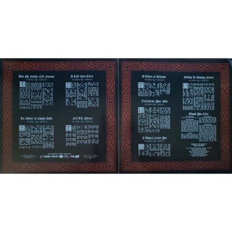 My Dying Bride - Feel The Misery (0801056849311) виниловая пластинка - фото 9