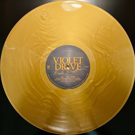 Kerala Dust - Violet Drive (coloured) (5400863095680) виниловая пластинка - фото 6