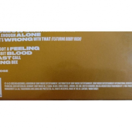 Buddy Guy - Blues Don't Lie (0196587315214) виниловая пластинка - фото 5