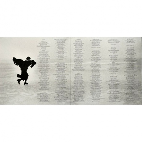 Joni Mitchell - Hejira (coloured) (0603497826100) виниловая пластинка - фото 2