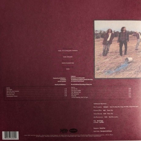 The Jayhawks - Blue Earth (coloured) (0603497818921) виниловая пластинка - фото 2