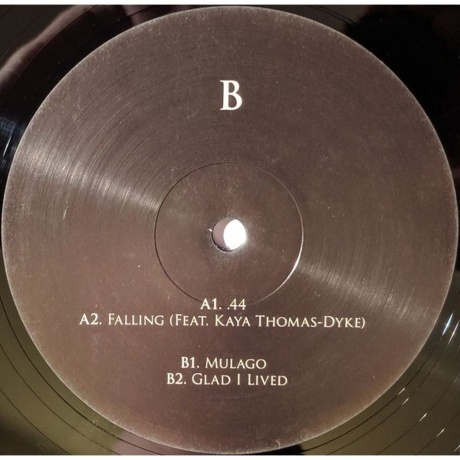 Alfa Mist - Structuralism (5052442015512) виниловая пластинка - фото 6