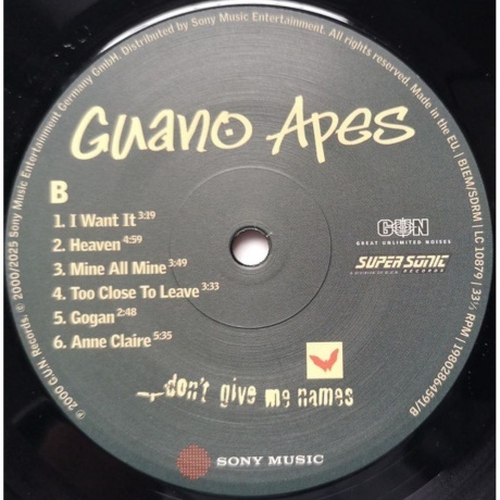 Guano Apes - Don't Give Me Names (0198028645911) виниловая пластинка - фото 6