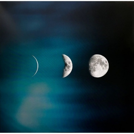 Shakira - She Wolf (coloured) (0196588845819) виниловая пластинка - фото 7