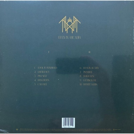 Sleep Token - Even In Arcadia (0198029031119) виниловая пластинка - фото 2