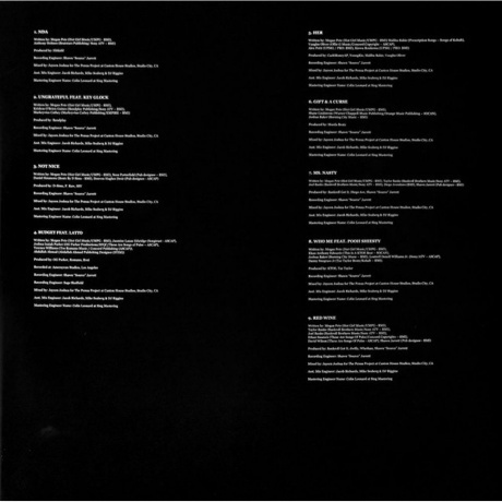 Megan Thee Stallion - Traumazine (0075678602368) виниловая пластинка - фото 8